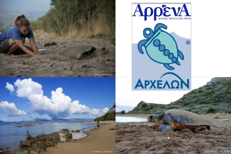 Μία φυσική συμμαχία -Το Φυσικό Μεταλλικό Νερό ΑρρένΑ δίπλα στην Caretta caretta